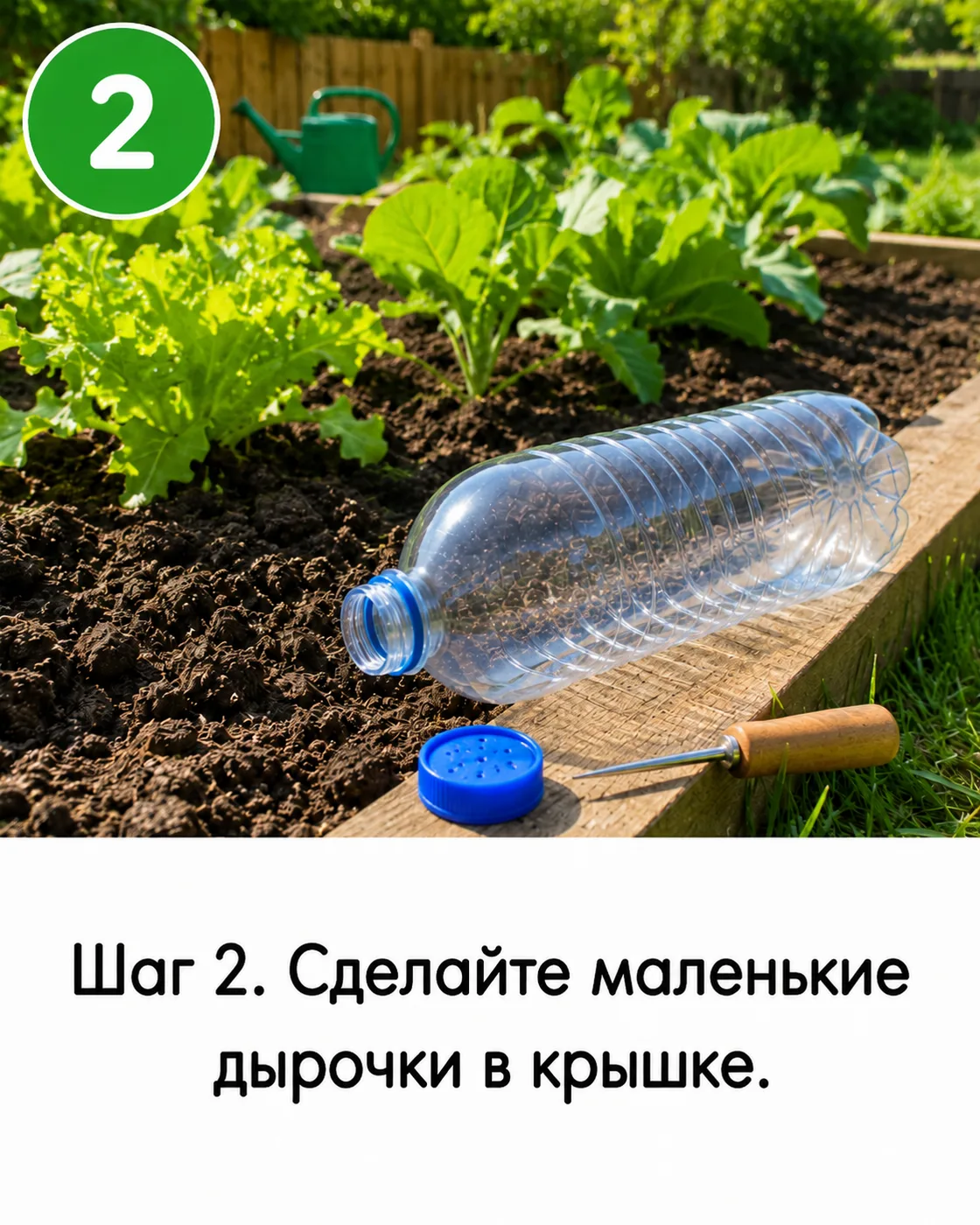 Капельный полив из пластиковых бутылок — 6 шагов с фото (6)