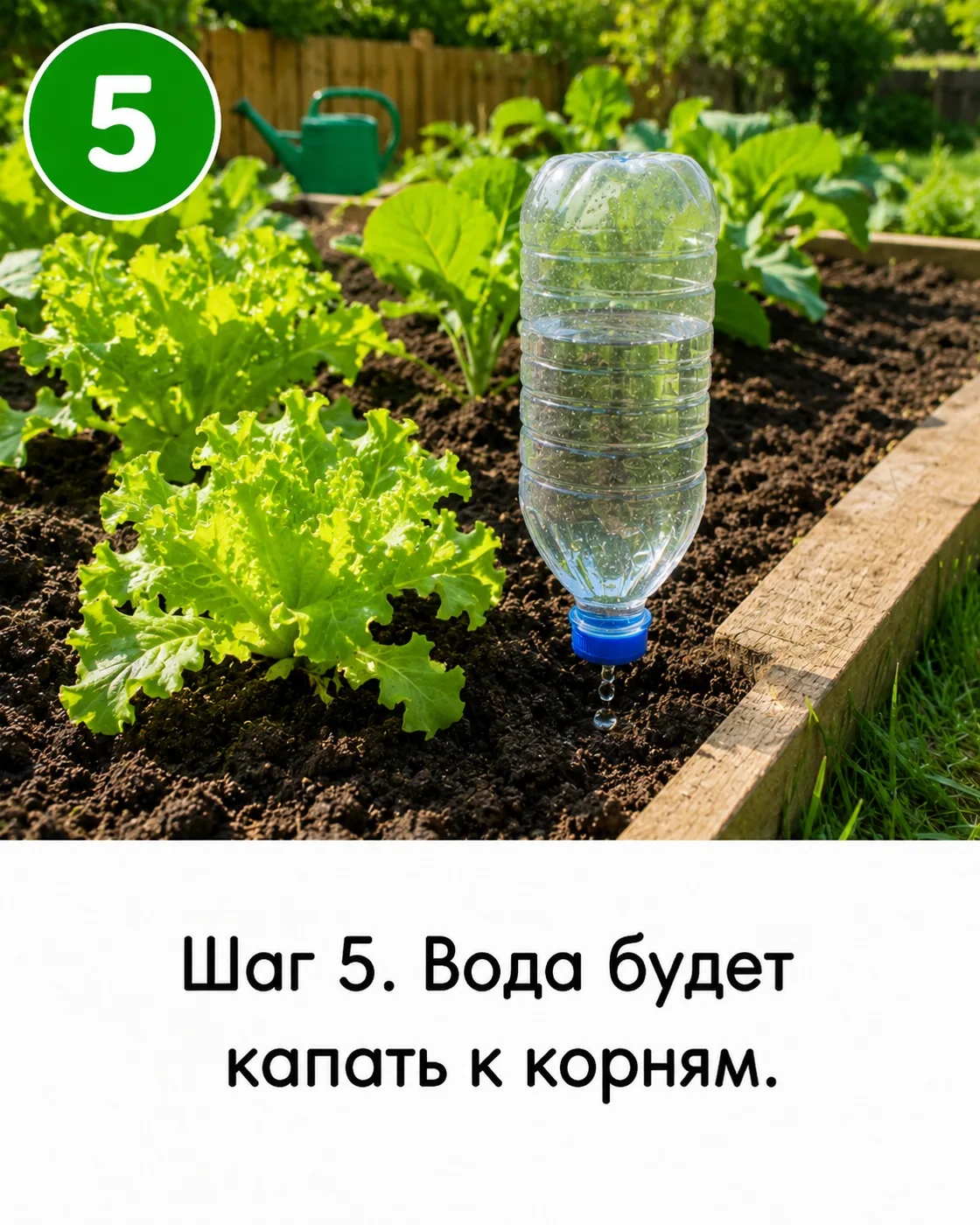 Капельный полив из пластиковых бутылок — 6 шагов с фото (3)