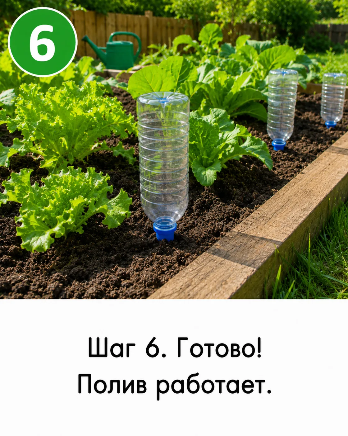 Капельный полив из пластиковых бутылок — 6 шагов с фото (2)